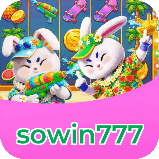 Performance sowin777