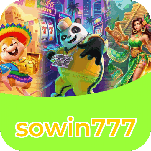 Interface sowin777